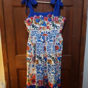 Dalia McPhee Pleated Skifrt Border Dress